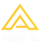 Pro A Construction